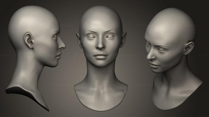 Anatomy of skeletons and skulls (Female Head 14, ANTM_0509) 3D models for cnc